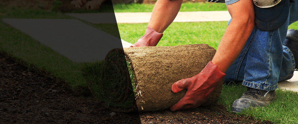 Kenosha Landscapers